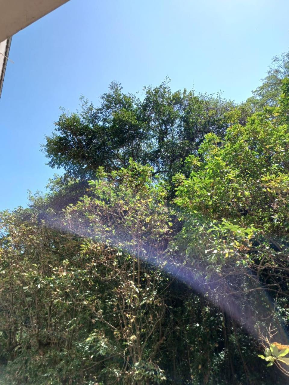 Vista De Copa Rio de Janeiro